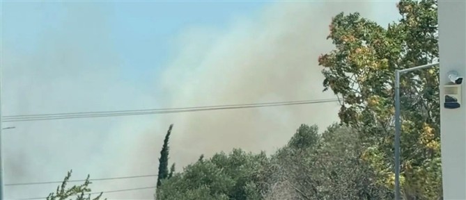 Φωτιά σε χαμηλή βλάστηση στο Κορωπί - Υψηλός κίνδυνος πυρκαγιάς στην περιοχή