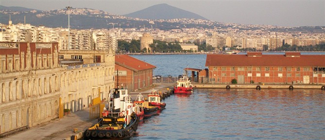 Θεσσαλονίκη: Βρέθηκε νεκρός σκύλος τυλιγμένος σε σακούλα σε κάδο σκουπιδιών