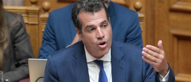 Πλεύρης: Θα έχουμε περισσότερες από 1.000 ανακλήσεις ασύλου μέχρι τον Ιούνιο του 2026