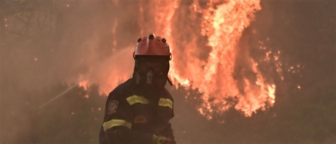 Αχαΐα: Καλύτερη η εικόνα της φωτιάς στην Άμπελο