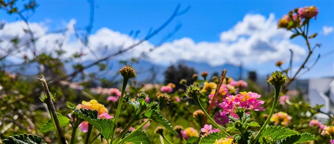 Τι καιρό θα κάνει το Σάββατο