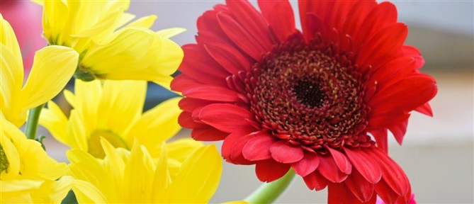 Εορτολόγιο: Ποιοι γιορτάζουν σήμερα 2 Απριλίου