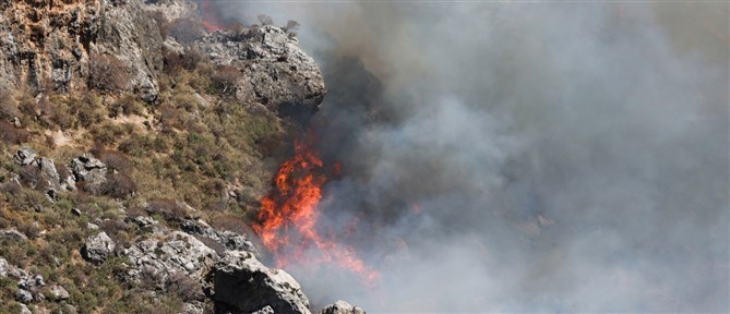 Ρέθυμνο: Ξεκίνησαν οι αυτοψίες στις πυρόπληκτες περιοχές του Δήμου Αγίου Βασιλείου