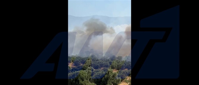 Εκτροπή οχημάτων κυκλοφορίας λόγω της πυρκαγιάς στα Μέγαρα