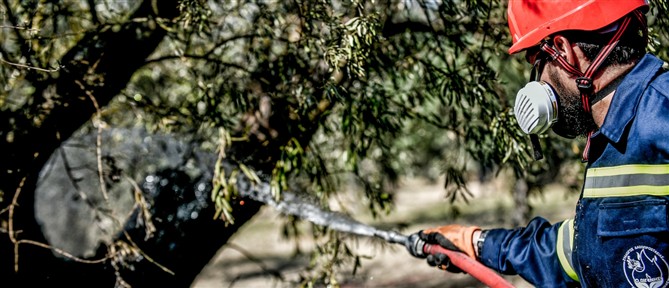 Συνελήφθη 62χρονη για πρόκληση πυρκαγιάς στην Αίγινα