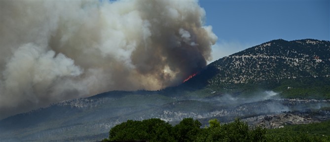 Βελτιωμένη η εικόνα στα μέτωπα της φωτιάς στη Δυτική Αττική - Από Ψάθα προς Λούμπα το πιο ενεργό σημείο