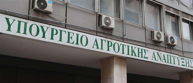 ΥΠΑΑΤ: Ολοκληρώθηκε η σύσκεψη με κτηνοτρόφους, τυροκόμους και παραγωγούς της Λέσβου - Εκρηκτικό κλίμα στο λιμάνι του νησιού