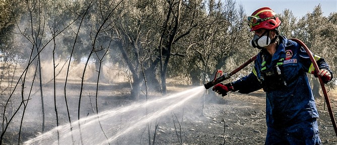 Τέθηκαν υπό πλήρη έλεγχο οι φωτιές σε Εύβοια και Αγίους Θεοδώρους