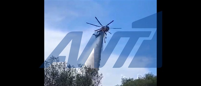 Σε ύφεση η πυρκαγιά στον Ασπρόκαμπο Φθιώτιδας