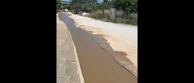 Χαλκιδική: Παραλία γέμισε ακάθαρτα λύματα από βιολογικό που "έσκασε"