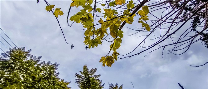 Τι καιρό θα κάνει το Σάββατο